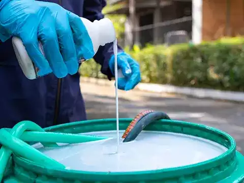 All in One General Pest Control Services
