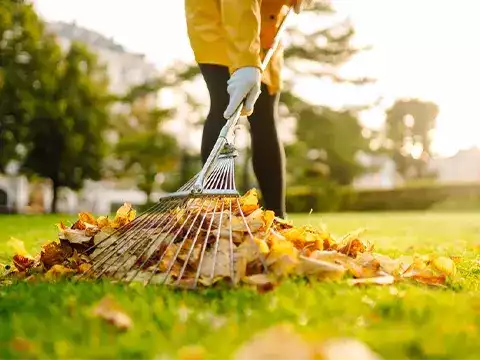 Seasonal Cleanup 1 Aucklands Trusted Seasonal Cleanup Services
