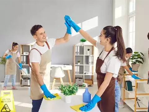 Deep Cleaning / Spring Cleaning 1 Deep Cleaning Spring Cleaning Auckland