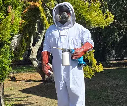 Expert Pest Control You Can Trust