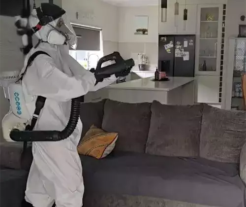 Flies 2 Fast Certified and Effective Fly Control Service