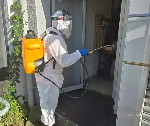 About Us 3 Pest Control New Zeland Healthy Spaces