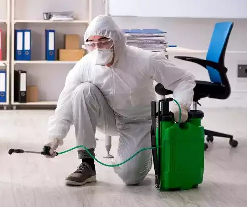 Pest Control