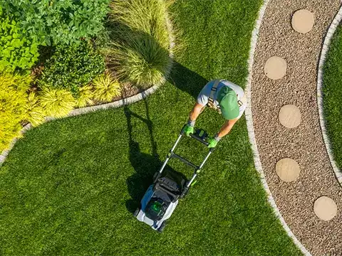 Lawn Mowing 1 Professional Lawn Mowing Services Auckland Wide