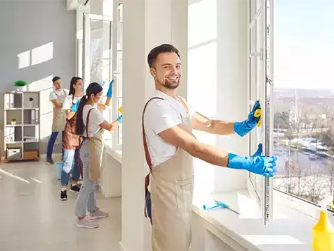 Professional Window Cleaning Services Auckland