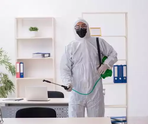 Prompt Response Pest Control Auckland