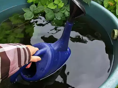 Rainwater Garden Care 1 Rainwater Garden Maintenance Services in Auckland