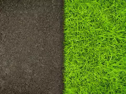 Lawn Edging 2 Why Choose Us for Expert Lawn Edging Services