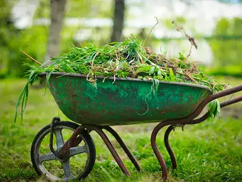 Weed Removal 2 Why Were a Trusted Choice for Weed Removal