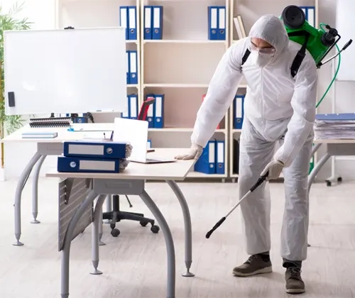 ​Pest Control Auckland